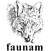 Faunam